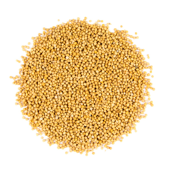 Yellow Mustard Seeds 400gms