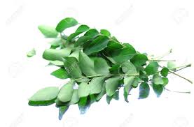Curry Leaves 1Packet